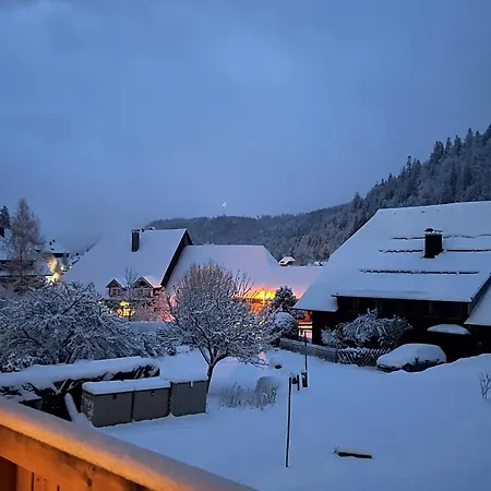 Schwarzwaldhaus - Fichte, St Blasien - Menzenschwand St. Blasien