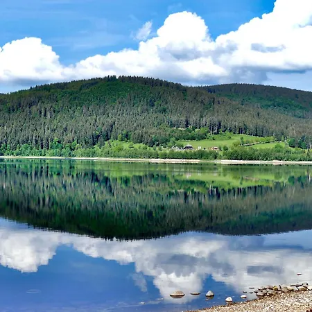 Schwarzwaldhaus - Fichte, St Blasien - Menzenschwand * St. Blasien