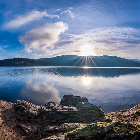Schwarzwaldhaus - Fichte, St Blasien - Menzenschwand Appartamento *