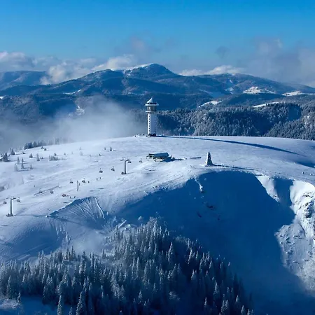 Appartamento Schwarzwaldhaus - Fichte, St Blasien - Menzenschwand *