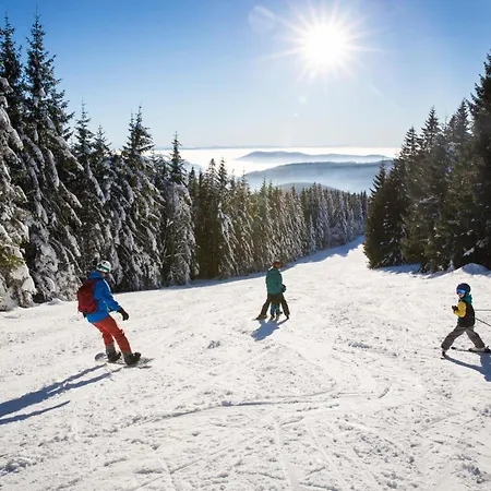 Schwarzwaldhaus - Fichte, St Blasien - Menzenschwand *