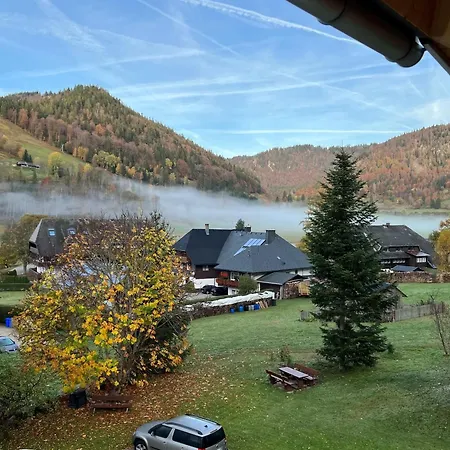 Schwarzwaldhaus - Fichte, St Blasien - Menzenschwand